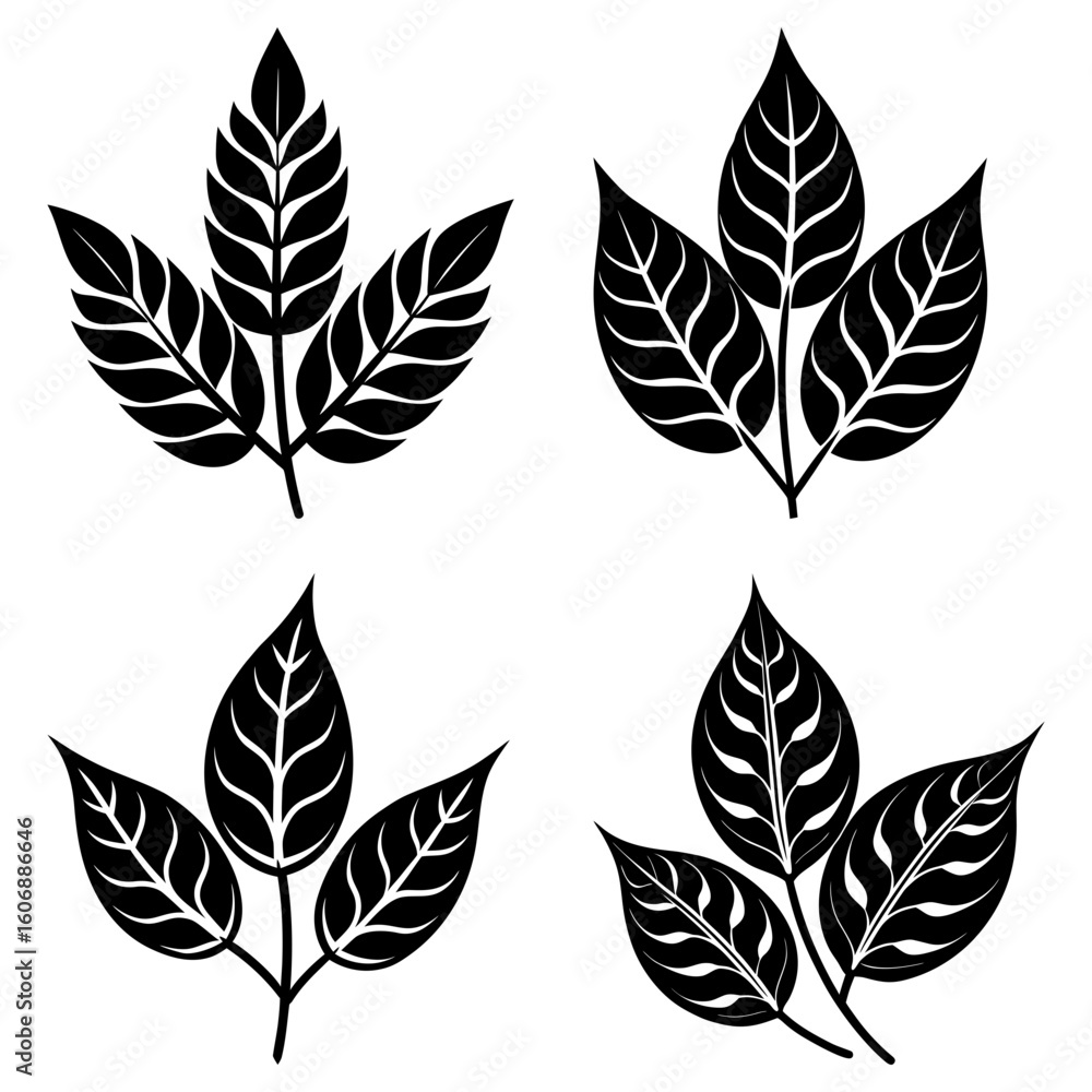 Poster four black leaf clusters each with three leaves and distinct vein patterns on a white background des