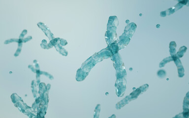 Structure of a chromosome. Epigenetic mechanism. Epigenetic factor, Methyl group, Gene, DNA, Chromosome. Genome sequence. Molecular biology.	