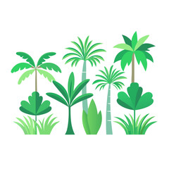 Lush green palm plants collection pictures
