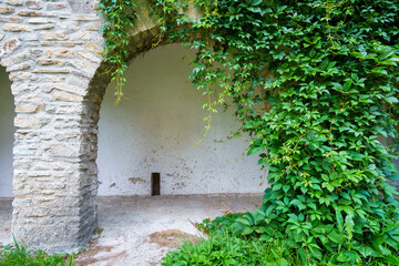 old stone wall with arch covered by green ivy create a frame with blank space, close up of...