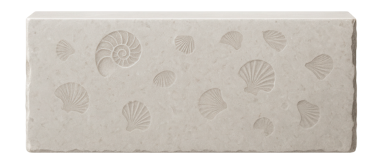 Smooth limestone block with fossil imprints and light gray coloration
