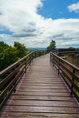 Obraz premium a wooden bridge at treetop level, a wooden path near tree tops in green forest create a beautiful background with blue sky and white clouds