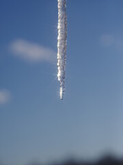 A long icicle hanging from a tree in the sky
