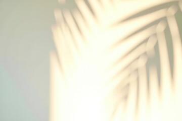 sun rays through the window