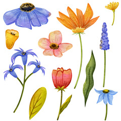 a collection of illustrations of flower arrangements with textured watercolor styles suitable for various digital decorations