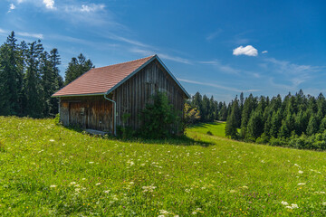 single barn on green meadow, bushes in the high moor from Sulzberg. in the background damp meadows with white flowering cotton grass and edge of  forest. Silent scenery in Bregenz forest by the way
