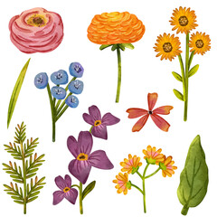 clipart illustration set colorful watercolor flower petal arrangement with texture canvas effect