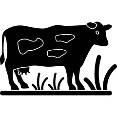 Dairy Cow Grazing