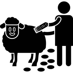 Sheep Shearing Scene