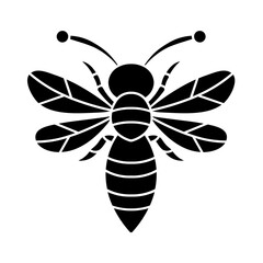 black and white Honey bee