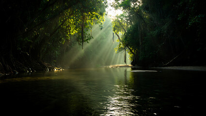 Sunlight streams through the dense canopy of a lush rainforest, illuminating a tranquil river as it flows through the verdant wilderness