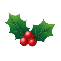 Illustration of holly leaves and red berries on black background for festive holiday decoration