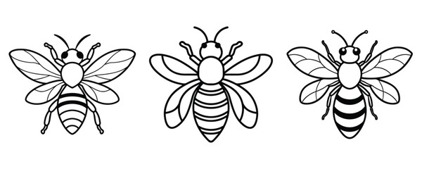 stylized bee line art illustrations, bee icon