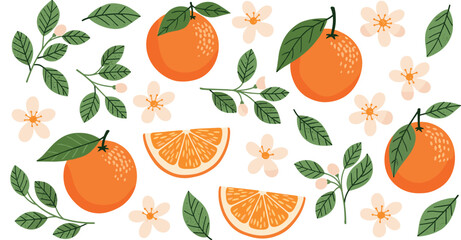 Set of hand drawn oranges fruits with leaves, branches and flowers. 