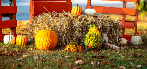 halloween end of summer season decorations and harvest