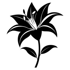 Lily flower — minimal line art vector