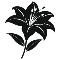 Lily flower — minimal line art vector