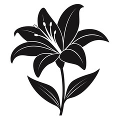 Lily flower — minimal line art vector