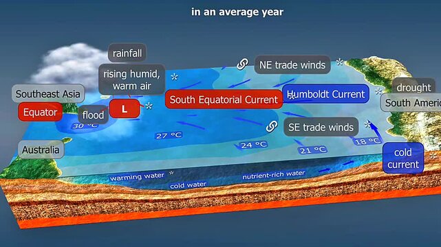 El nino in an average year