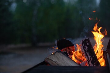Close-up of firewood burning in a grill with vibrant orange flames and smoke rising. The background...