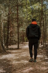 Man in a black jacket and orange hoodie walks alone through a peaceful forest trail, surrounded by tall trees and soft natural light, viewed from behind.