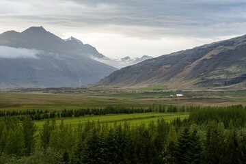 mountain landscape with trees Iceland