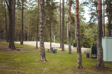 Nature resort photos of beautiful natural landscape - forest - woods, sand.