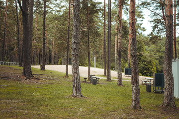 Nature resort photos of beautiful natural landscape - forest - woods, sand.