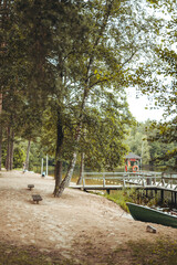 Obraz premium Nature resort photos of beautiful natural landscape - forest - woods, sand.