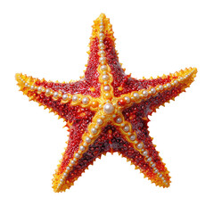 Ornate starfish with pearl accents.  Red, orange, and yellow