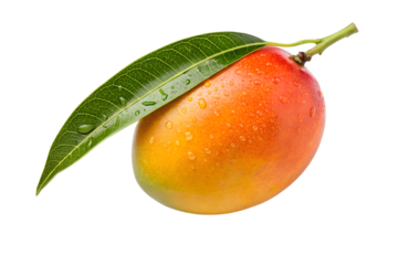 A single fresh ripe mango with a vibrant red and yellow skin, a dewy green leaf, and water drops, isolated on a pure white background.