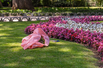 Landscaper's tools and pink tarp resting on freshly mowed lawn beside vibrant flower beds, showcasing meticulous garden maintenance and care