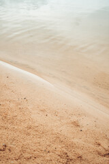 Nature resort photos of beautiful natural landscape - forest - woods, sand.