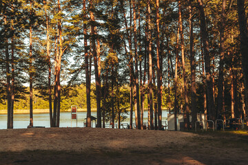 Fototapeta premium Nature resort photos of beautiful natural landscape - forest - woods, sand.