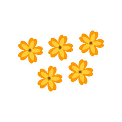 Colorful Simple Flower Design On white Background
