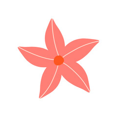 red flower isolated on white