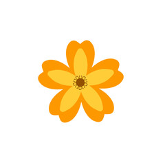 Orange flower blossom on white background