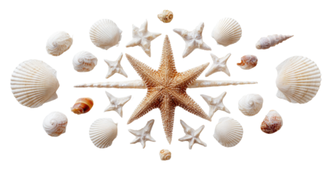 Symmetrical seashell and starfish design
