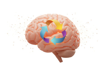 Isolated Brain with Recycling Arrows Symbolizing Mental Refresh
