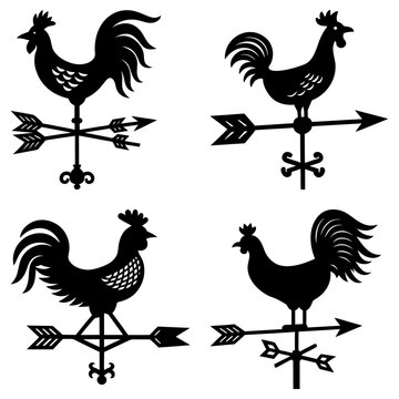 Four black rooster weather vanes with arrow directional indicators on a white isolated background view