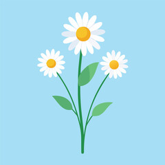 Three delicate white daisies with yellow centers and green stems and leaves bloom against a soft light blue background in a simple flat illustration