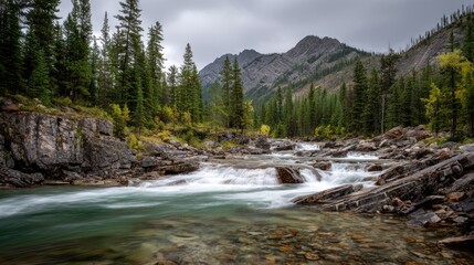 River flowing through a forest, with mountains in the background under an overcast sky