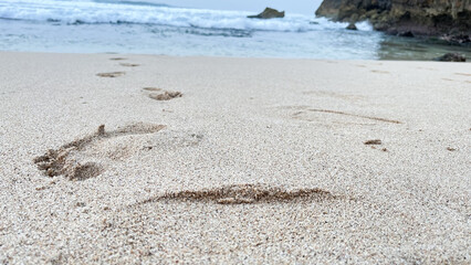 footprints in the beautiful beach sand