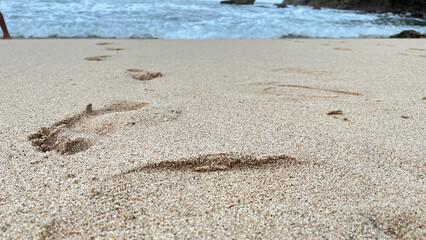 footprints in the beautiful beach sand