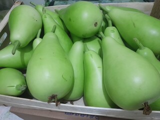 Calabash healthy nutritional vegetables for health. Green vegetable raw food. 