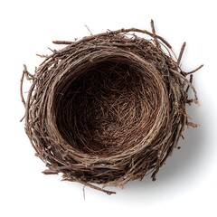 Obraz premium Natural brown empty bird’s nest made of twigs placed gently on clean white background. Perfect for nature visuals, spring themes, and wildlife education. 