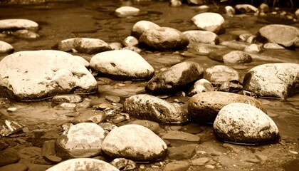 Riverbed Rocks: Smooth Stones in Shallow Water, Sepia Tone