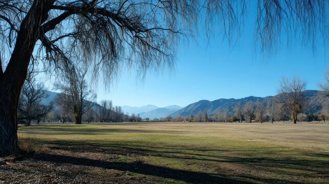 Expansive field framed by leafless trees, mountains receding in the distance under a blue sky