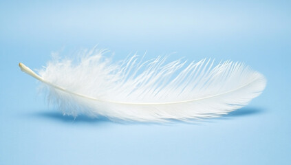 White feather floating on blue background and isolated on white
