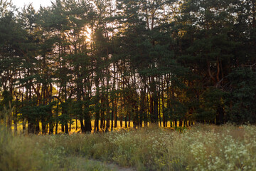 Golden Sunset Reflected in Lake